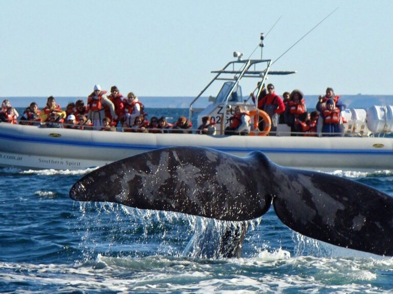 Puerto Madryn