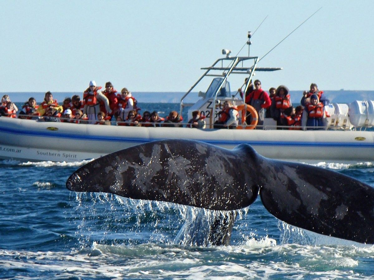 Puerto Madryn
